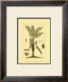 Buy Printed Exotic Palm VI at AllPosters.com
