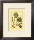 Buy Printed Exotic Palm I at AllPosters.com
