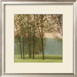 Buy Haze at AllPosters.com
