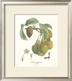 Buy Pears, Frangipane at AllPosters.com