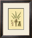 Buy Printed Exotic Palm III at AllPosters.com