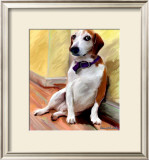 Being a Beagle