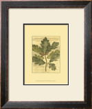 Buy Weathered Oak Leaves I at AllPosters.com