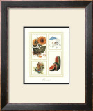 Buy Summer at AllPosters.com
