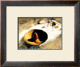 Buy Feast of Fires at AllPosters.com