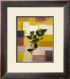 Buy Timeless colours II at AllPosters.com