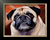 Snaggle Pug