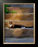 Trouble Cat