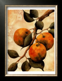 Italian Harvest, Oranges