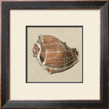 Buy Neptune III at AllPosters.com