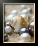 Sea Jewels I