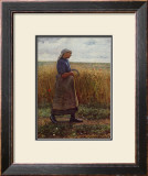 Summer Harvest Framed Art Print
