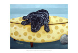 Lab on Yellow