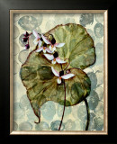 Buy Amazonia II at AllPosters.com