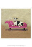 Italian Greyhound on Pink