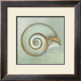 Buy Neptune's Garden I at AllPosters.com