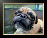 Walrus Pug
