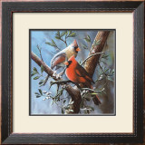 Cardinal