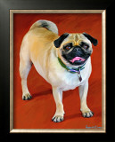 Doug the Pug