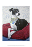 Italian Greyhound on Red
