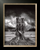 Buy Stumped at AllPosters.com