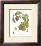 Buy Pears, Frangipane at AllPosters.com