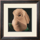 Buy Rose at AllPosters.com