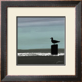 Dusky Sea IV