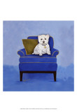 Westie on Blue