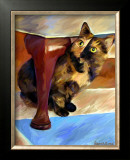 Calico Face