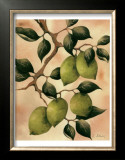 Italian Harvest, Limes