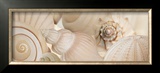 Buy Shells I at AllPosters.com