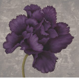 Black Plum I