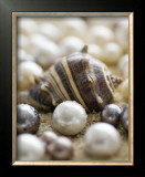 Sea Jewels II