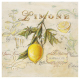 Tuscan Lemon