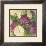 Hydrangea Delight I