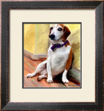Being a Beagle