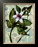 Buy Amazonia IV at AllPosters.com