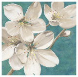 Blossom Bounty