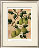 Italian Harvest, Limes