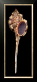 Buy Snipes Bill Murex at AllPosters.com