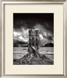 Buy Stumped at AllPosters.com