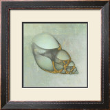 Buy Neptune's Garden III at AllPosters.com