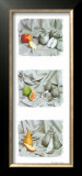 Buy Fruit Trio I at AllPosters.com