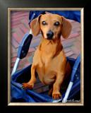 Daschund Drive Through