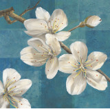 Blossom Branch