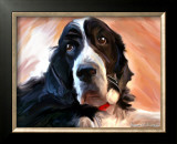 Springer