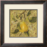 Buy Fruit Panel II at AllPosters.com