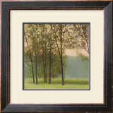 Buy Haze at AllPosters.com