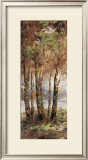Buy River Birch II at AllPosters.com